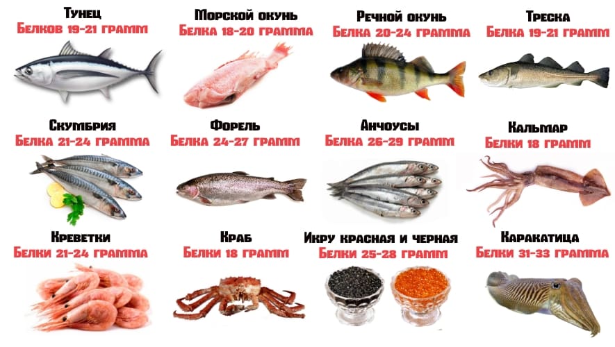  Рыба и морепродукты 